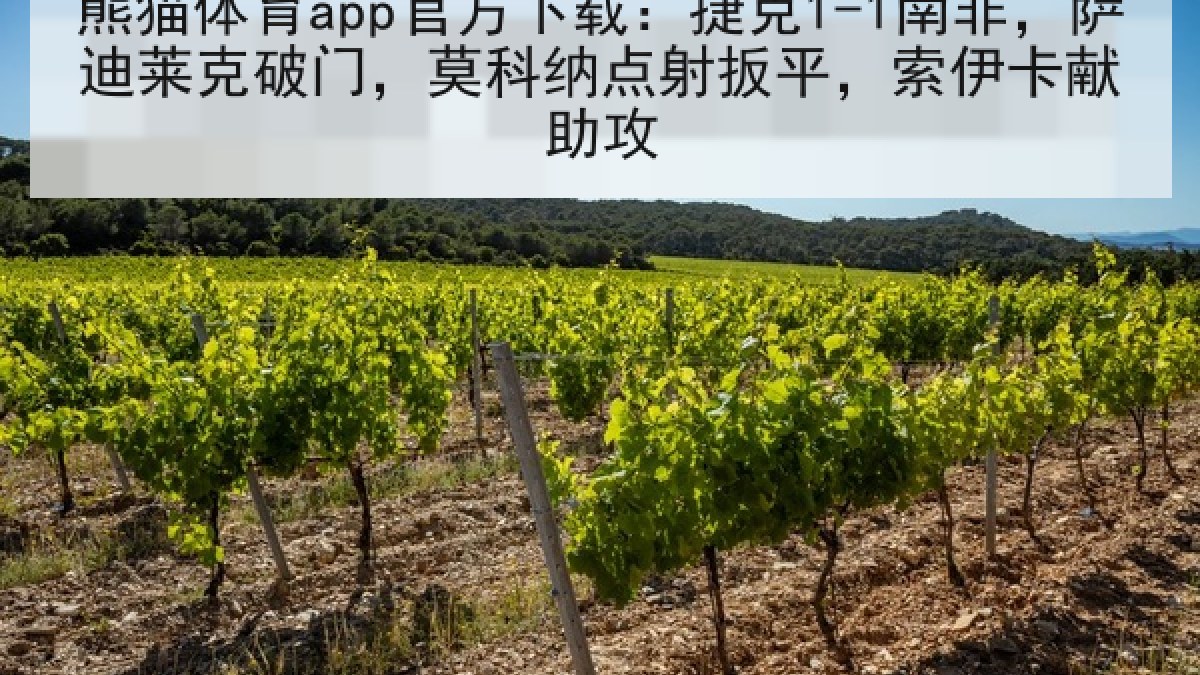 熊猫体育app官方下载:捷克1-1南非,萨迪莱克破门,莫科纳点射扳平,索伊卡献助攻 熊猫体育app官方下载:捷克1-1南非,萨迪莱克破门,莫科纳点射扳平,索伊卡献助攻