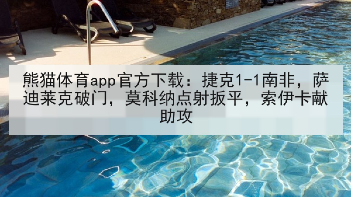 熊猫体育app官方下载：捷克1-1南非，萨迪莱克破门，莫科纳点射扳平，索伊卡献助攻