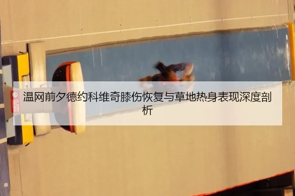 温网前夕德约科维奇膝伤恢复与草地热身表现深度剖析