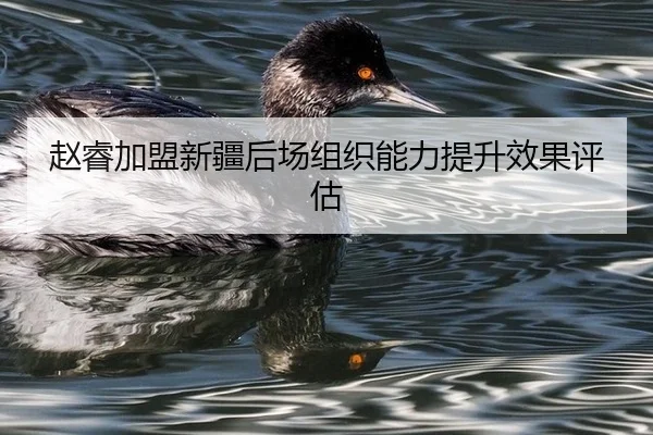 zhao-rui-jia-meng-xin-jiang-hou-chang-zu-zhi-neng-li-ti-sheng-xiao-guo-ping-gu-2-622.jpg