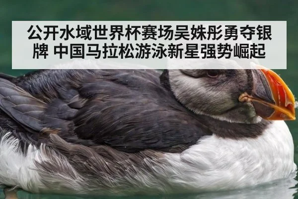 公开水域世界杯赛场吴姝彤勇夺银牌 中国马拉松游泳新星强势崛起